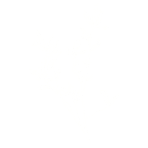 Diseño sin título-57