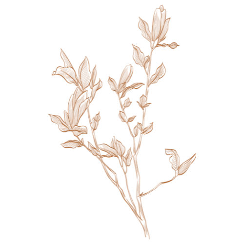 Diseño sin título-59